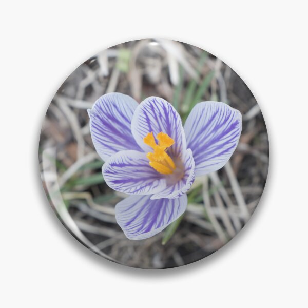 Item preview, Purple Stripes Crocus Bloom designed and sold by Georgia Mizuleva.