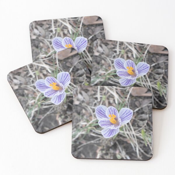 Item preview, Purple Stripes Crocus Bloom designed and sold by Georgia Mizuleva.