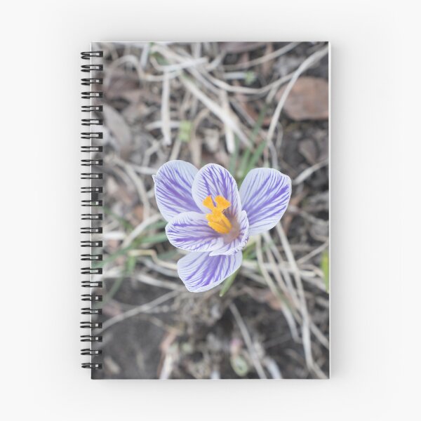 Item preview, Purple Stripes Crocus Bloom designed and sold by Georgia Mizuleva.