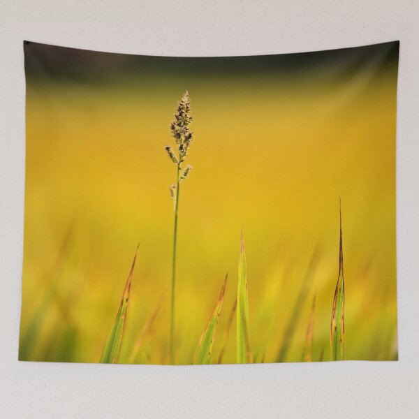 Item preview, Épi solitaire sur fond jaune éclatant designed and sold by franck380.