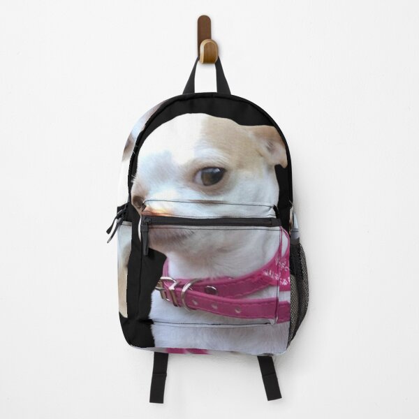 Item preview, White Chihuahua puppy with suspicious look Meme designed and sold by NF Designs Studio DTF.