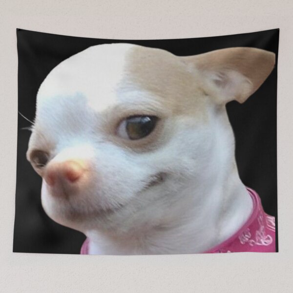 Item preview, White Chihuahua puppy with suspicious look Meme designed and sold by NF Designs Studio DTF.