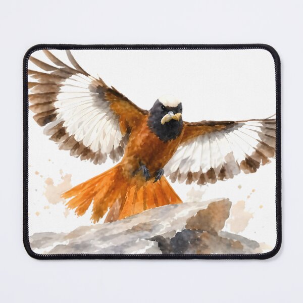 Item preview, Güldenstädt’s Redstart designed and sold by HOMETOWN86.