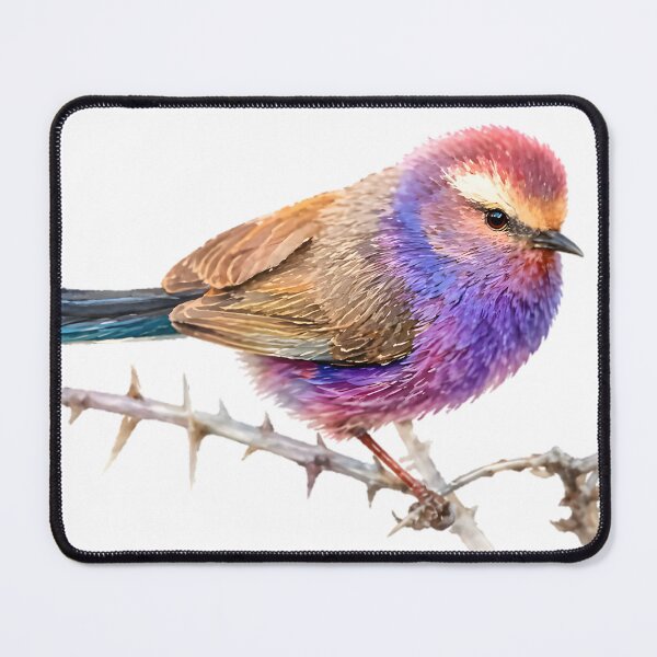 Item preview, White-browed Tit-Warbler designed and sold by HOMETOWN86.
