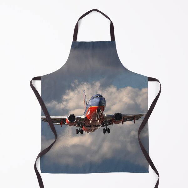 Item preview, Southwest Jet on Final into Denver designed and sold by Skyframe Aviation.