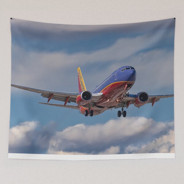Item preview, Colorado Approach for Southwest 737 designed and sold by Skyframe Aviation.