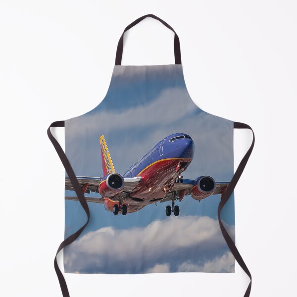 Item preview, Colorado Approach for Southwest 737 designed and sold by Skyframe Aviation.
