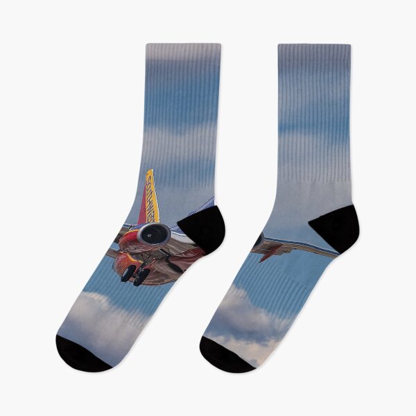 Item preview, Colorado Approach for Southwest 737 designed and sold by Skyframe Aviation.