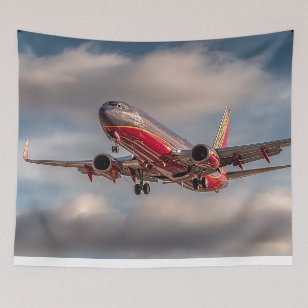 Item preview, Southwest 737 Over the Colorado Plains designed and sold by Skyframe Aviation.