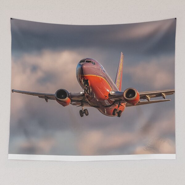 Item preview, Rocky Mountain Approach Southwest 737 designed and sold by Skyframe Aviation.