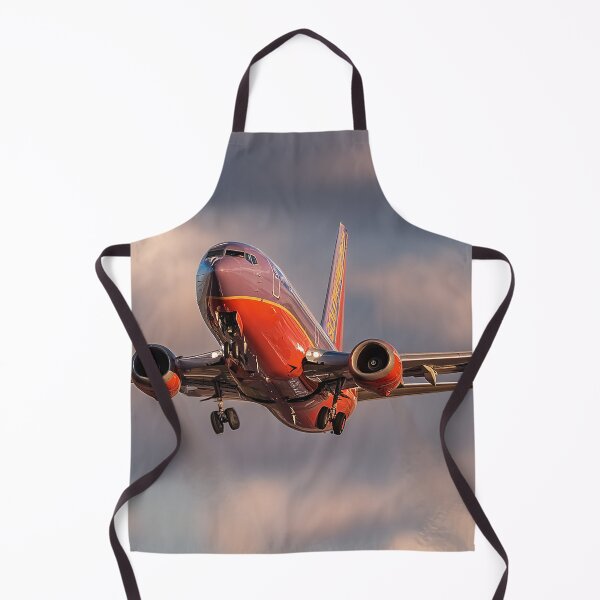 Item preview, Rocky Mountain Approach Southwest 737 designed and sold by Skyframe Aviation.