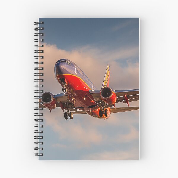 Item preview, Final Moments Before Landing Southwest 737 designed and sold by Skyframe Aviation.