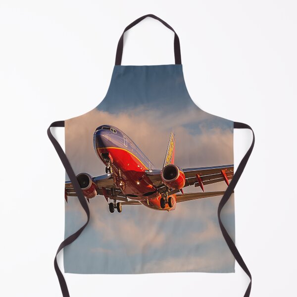 Item preview, Final Moments Before Landing Southwest 737 designed and sold by Skyframe Aviation.