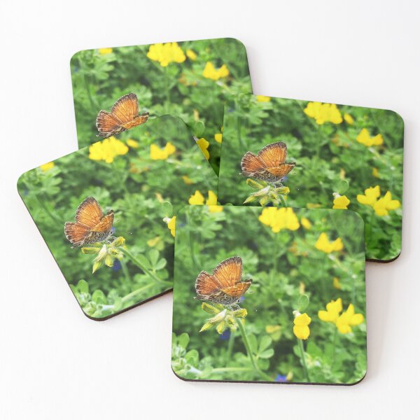 Item preview, Canary Blue butterfly on bird's-foot trefoil 2 designed and sold by birgitsfotoshop.