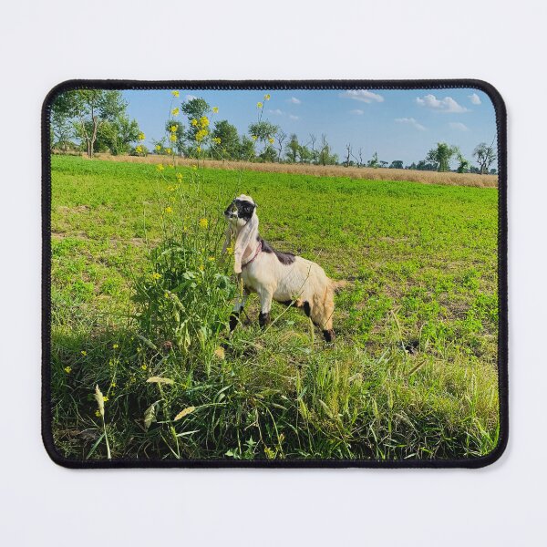 Item preview, Cute Little Lamb Grazing in Green Meadow designed and sold by Rubab Designs.