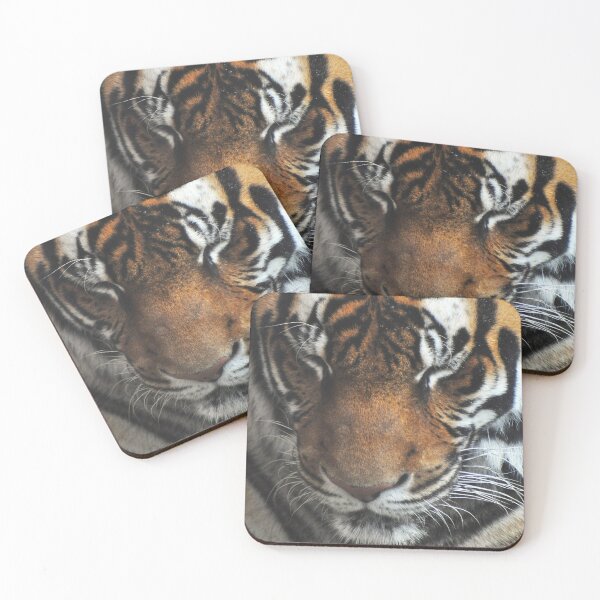 Item preview, Sleeping tiger designed and sold by Skitt1e.