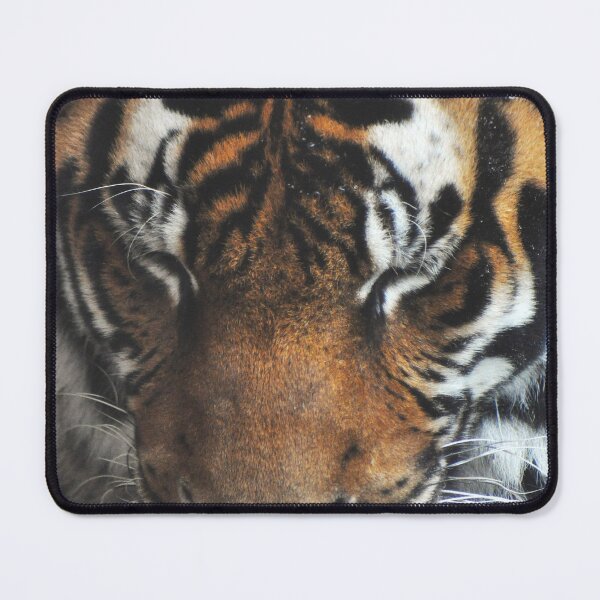 Item preview, Sleeping tiger designed and sold by Skitt1e.