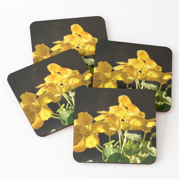 Item preview, Nasturtiums in the sun. designed and sold by Paul Pasco.