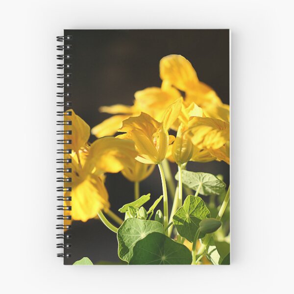 Item preview, Capuchinas al sol. designed and sold by Paul Pasco.