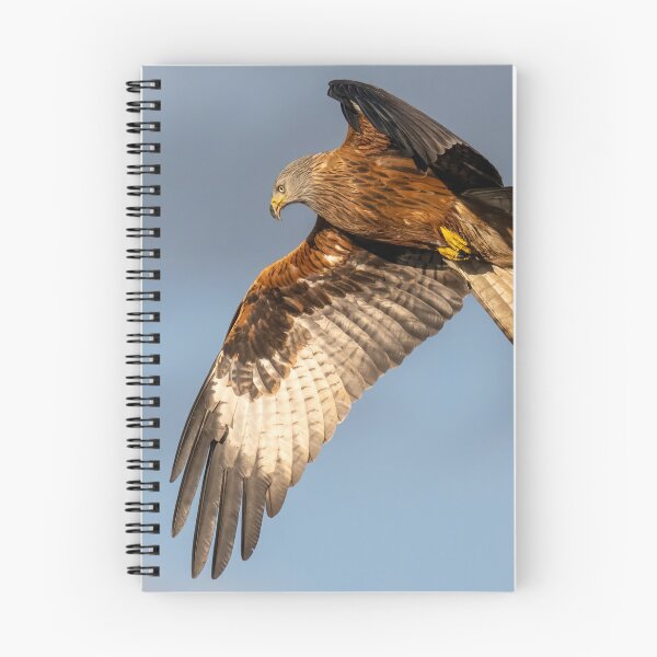Item preview, Red Kite designed and sold by UKMatt2000.