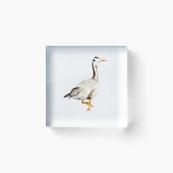 Item preview, Bar-headed Goose designed and sold by HOMETOWN86.