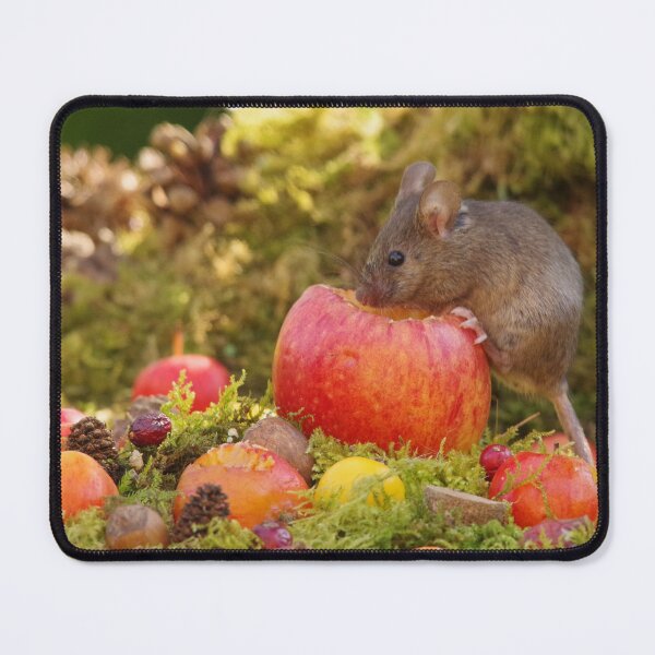 Item preview, The mouse and the apple designed and sold by Simon-dell.
