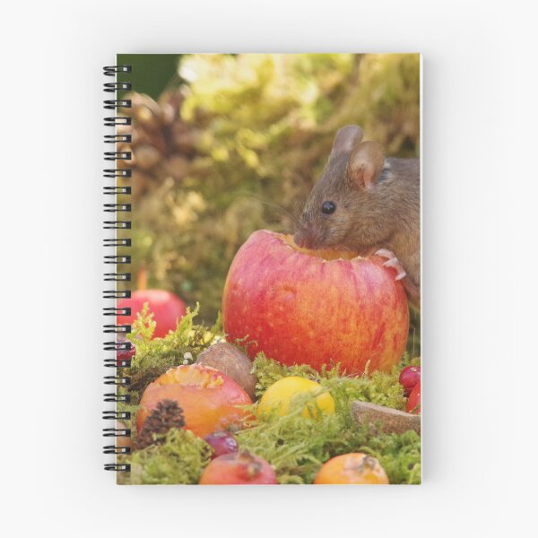 Item preview, The mouse and the apple designed and sold by Simon-dell.