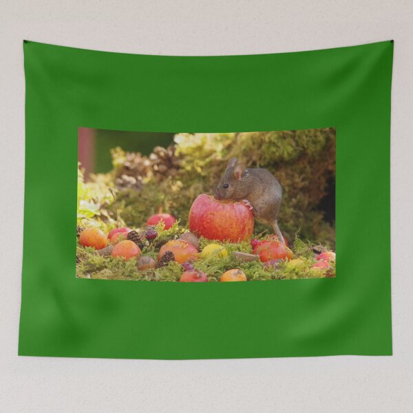Item preview, El ratón y la manzana designed and sold by Simon-dell.