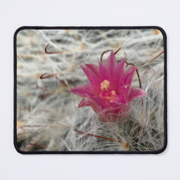 Item preview, Desert Soul designed and sold by Betsy Phillips.