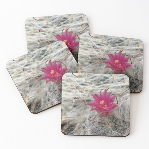 Item preview, Desert Soul designed and sold by Betsy Phillips.