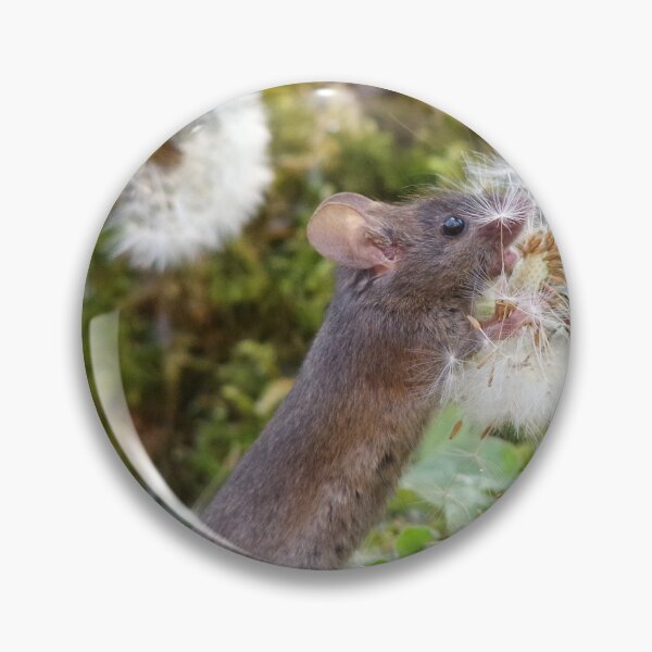 Item preview, dandelion mouse designed and sold by Simon-dell.