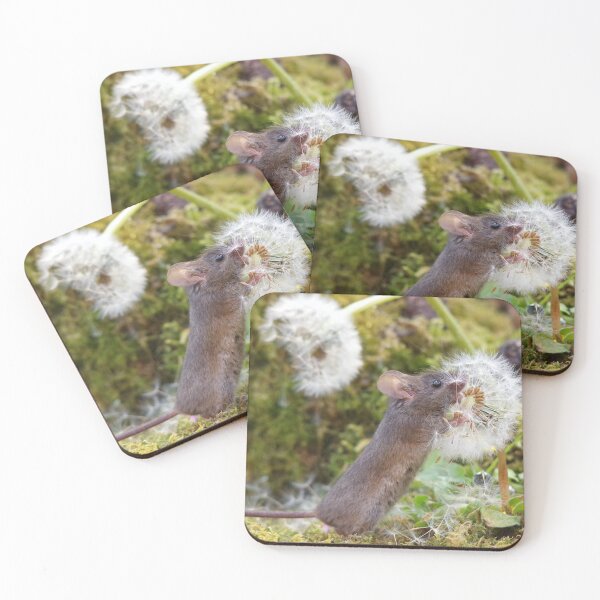 Item preview, dandelion mouse designed and sold by Simon-dell.