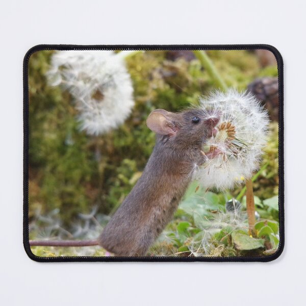 Item preview, dandelion mouse designed and sold by Simon-dell.