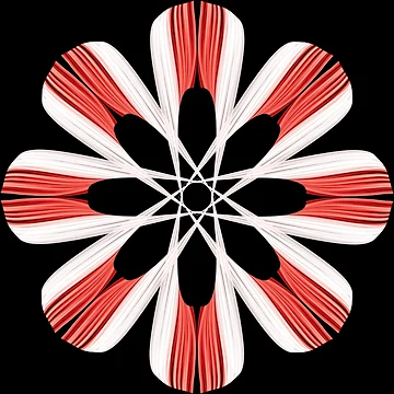 Artwork thumbnail, Mandala network by Meo Design