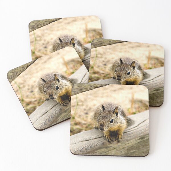Item preview, California Ground Squirrel, Pebble Beach, California, USA designed and sold by Ross.A.Campbell.