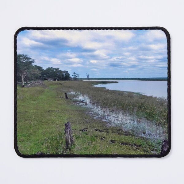 Item preview, Nsumo Pan UmKhuze Game Reserve designed and sold by JaneFlowersAfrica.