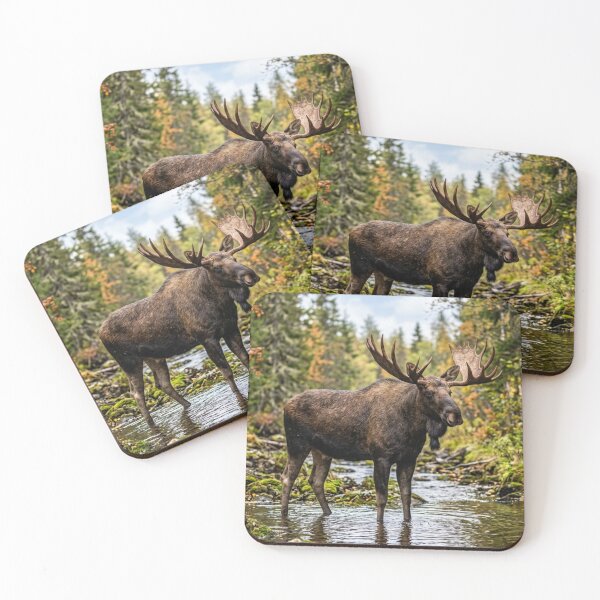 Item preview, Moose in the wild designed and sold by Malisa345.