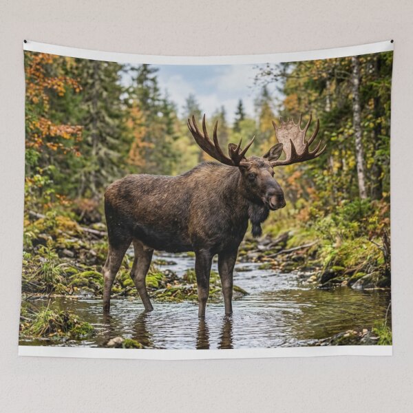 Item preview, Moose in the wild designed and sold by Malisa345.