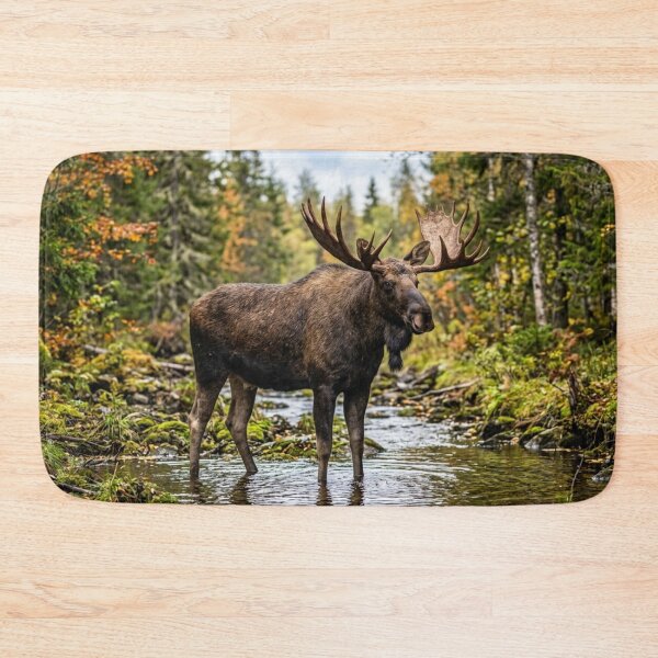 Item preview, Moose in the wild designed and sold by Malisa345.