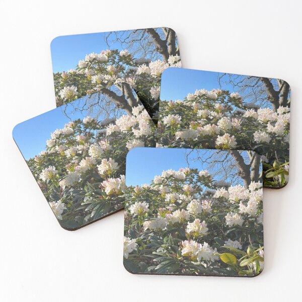 Item preview, White Rhododendron Blossom in Spring Sunshine designed and sold by Violaman.