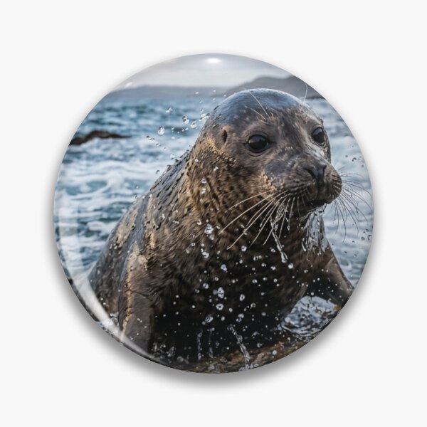 Item preview, Seal emerging from the water designed and sold by Malisa345.