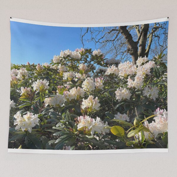 Item preview, White Rhododendron Blossom in Spring Sunshine designed and sold by Violaman.