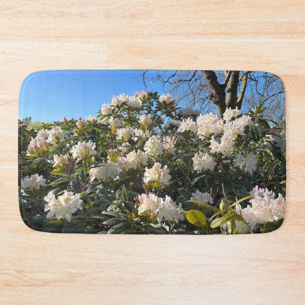 Item preview, White Rhododendron Blossom in Spring Sunshine designed and sold by Violaman.