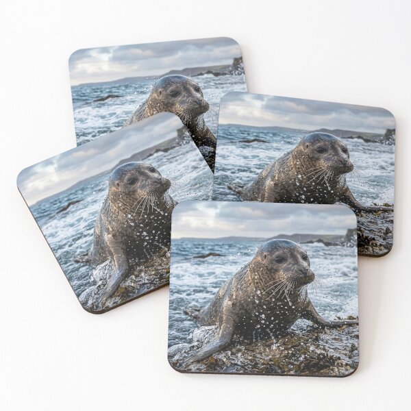 Item preview, Seal emerging from the water designed and sold by Malisa345.