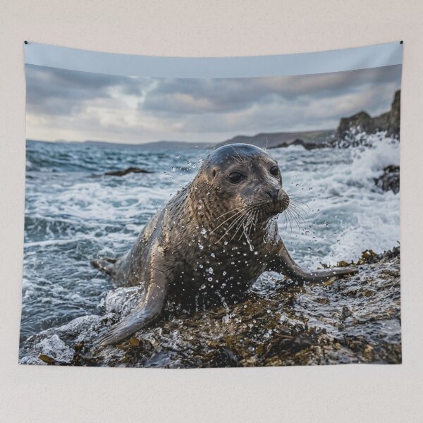Item preview, Seal emerging from the water designed and sold by Malisa345.