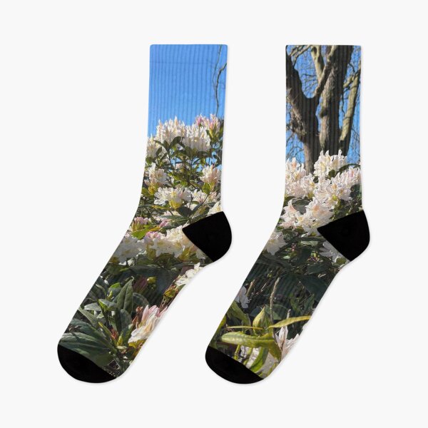 Item preview, White Rhododendron Blossom in Spring Sunshine designed and sold by Violaman.