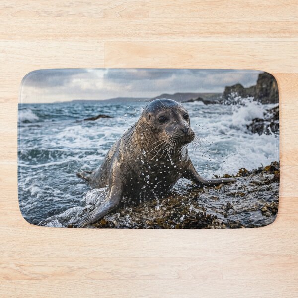Item preview, Seal emerging from the water designed and sold by Malisa345.