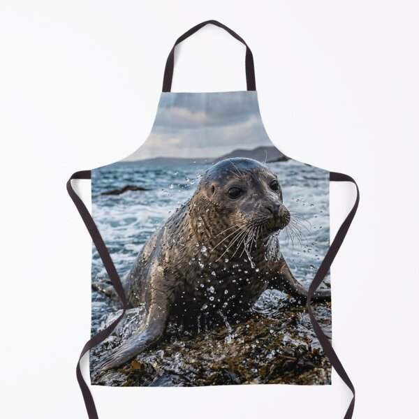 Item preview, Seal emerging from the water designed and sold by Malisa345.