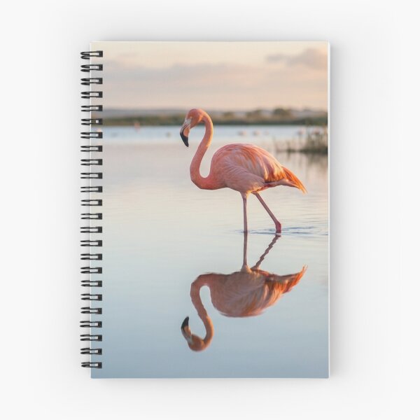 Item preview, Pink flamingo in the mirror-like water designed and sold by Malisa345.