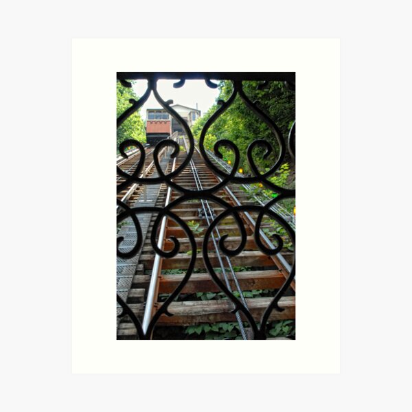 View from the Incline Art Print